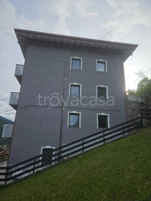 immagine annuncio 5 di 14