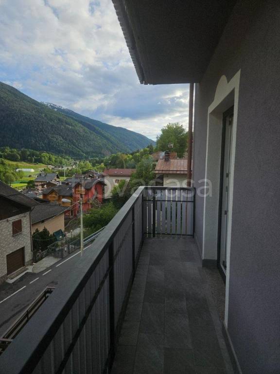 immagine annuncio 11 di 14