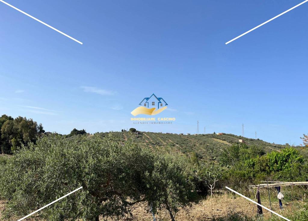 immagine annuncio 4 di 8