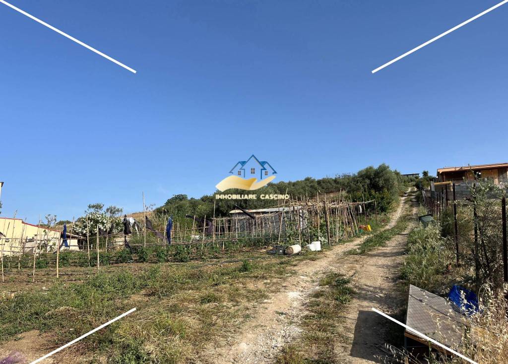 immagine annuncio 5 di 8