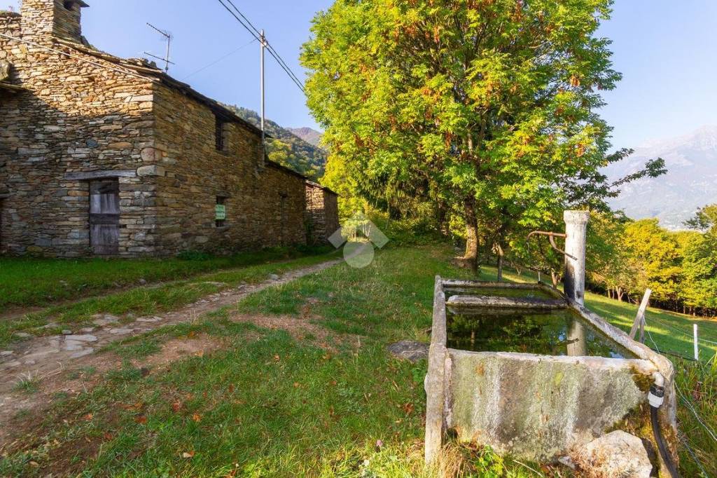 immagine annuncio 1 di 14