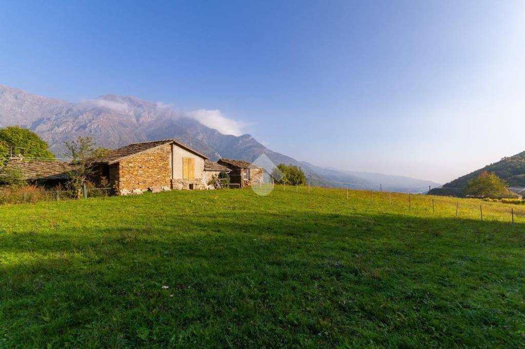 immagine annuncio 4 di 14