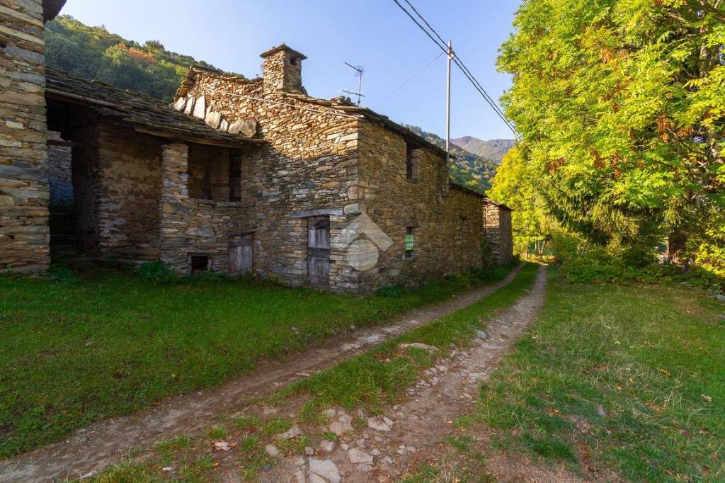 immagine annuncio 5 di 14