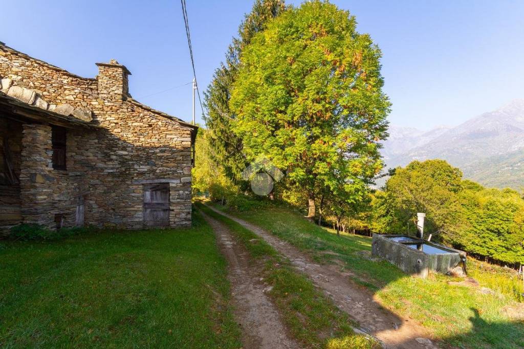 immagine annuncio 6 di 14