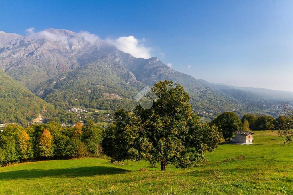 immagine annuncio 8 di 14