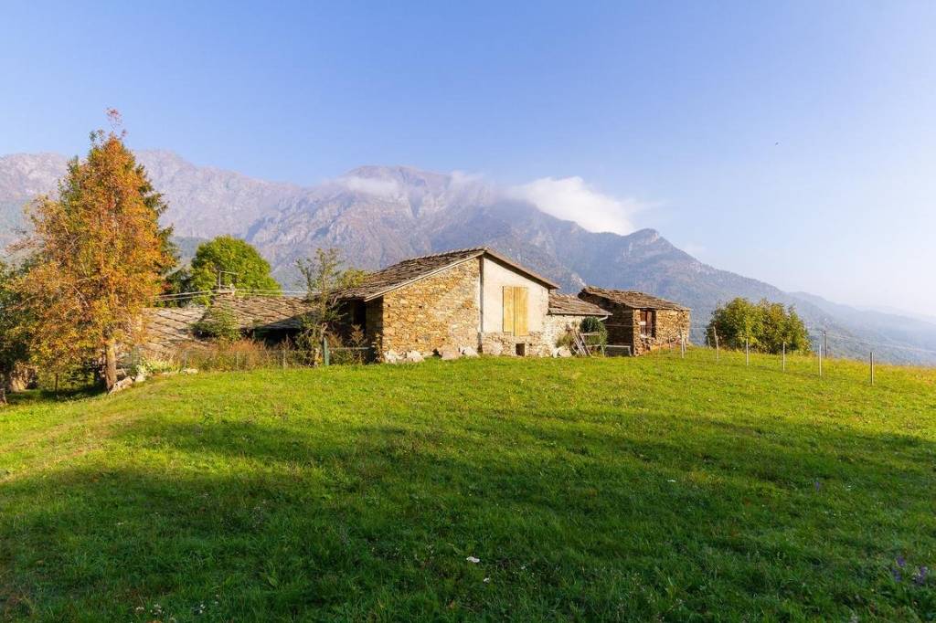 immagine annuncio 9 di 14