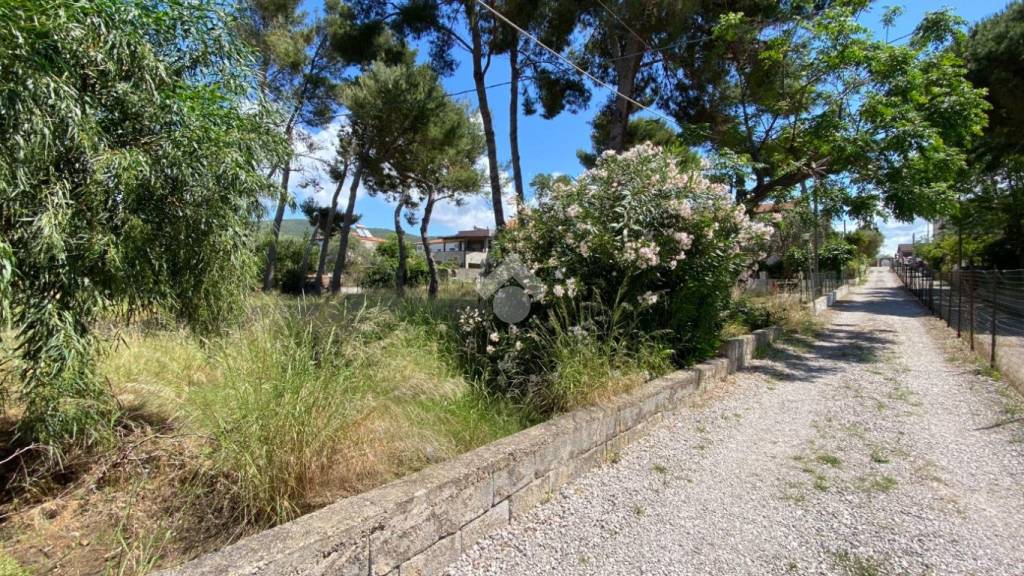 immagine annuncio 6 di 12