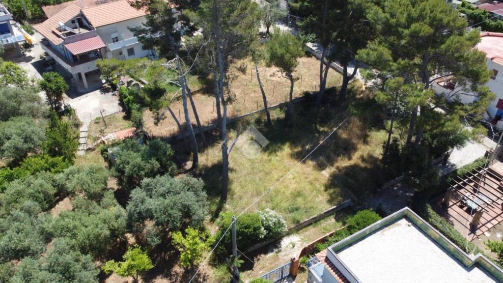 immagine annuncio 10 di 12