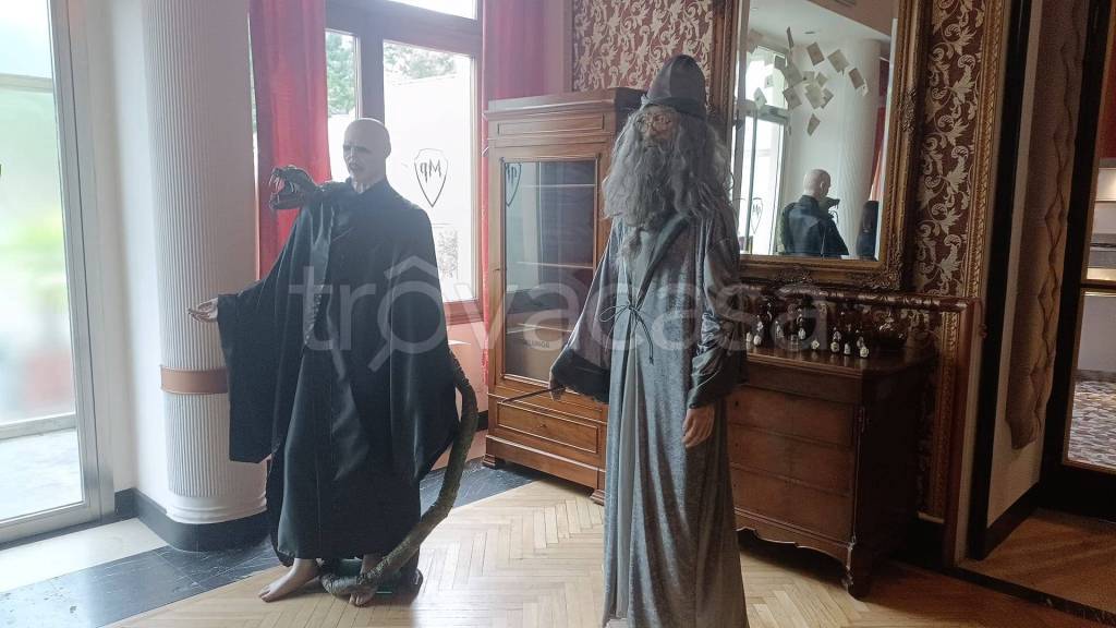 immagine annuncio 5 di 15