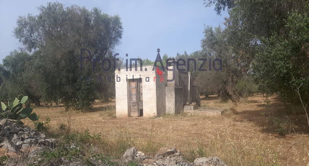 immagine annuncio 6 di 11