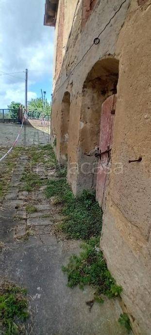 immagine annuncio 3 di 14