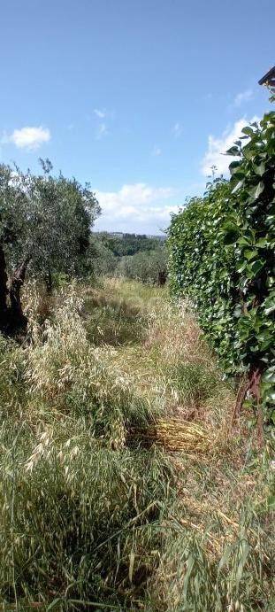 immagine annuncio 7 di 14