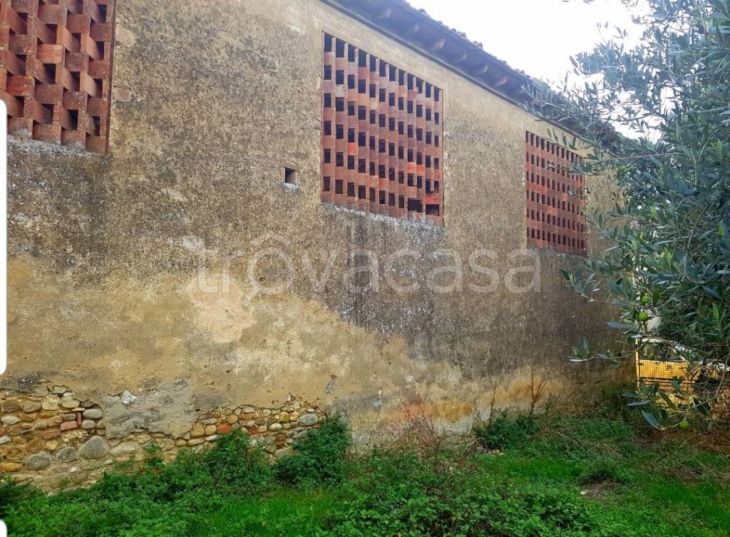 immagine annuncio 9 di 14