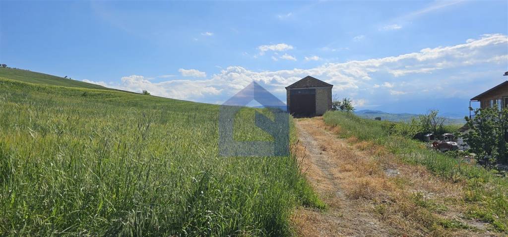 immagine annuncio 4 di 14