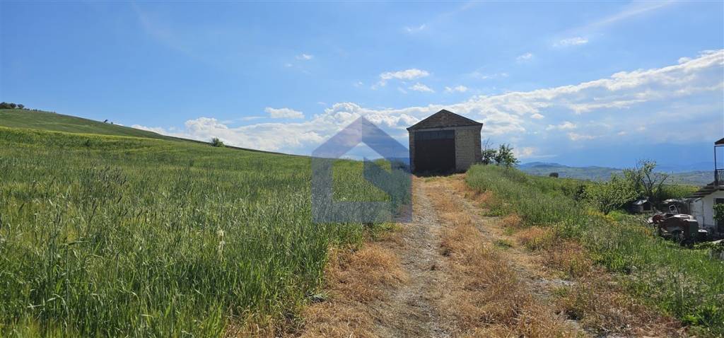 immagine annuncio 7 di 14