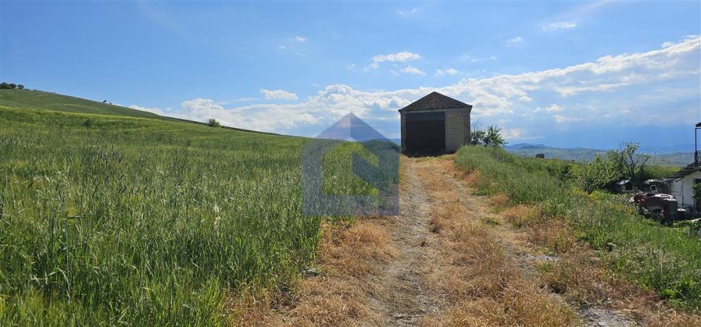 immagine annuncio 8 di 14
