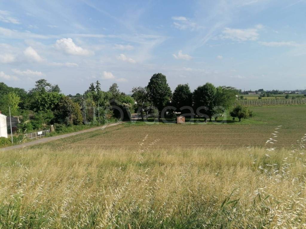 immagine annuncio 7 di 12
