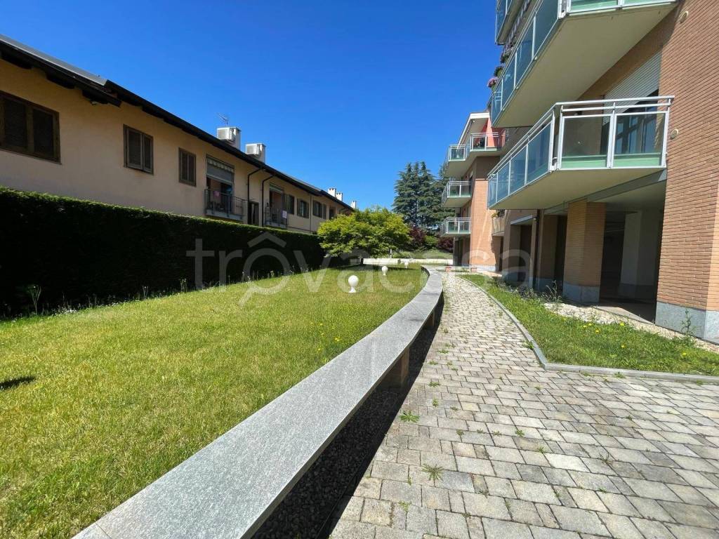 immagine annuncio 6 di 15