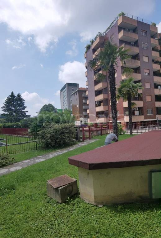 immagine annuncio 2 di 8