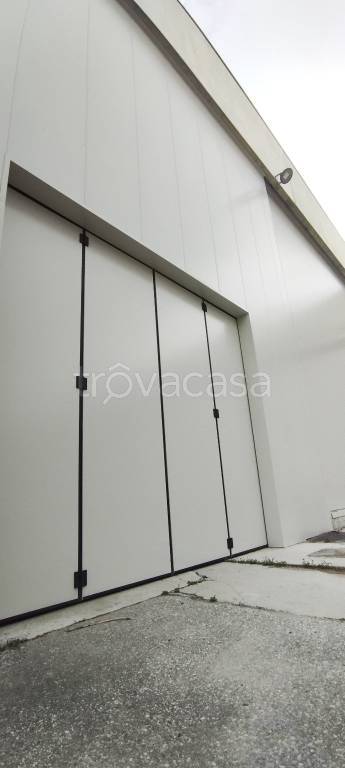 immagine annuncio 9 di 11