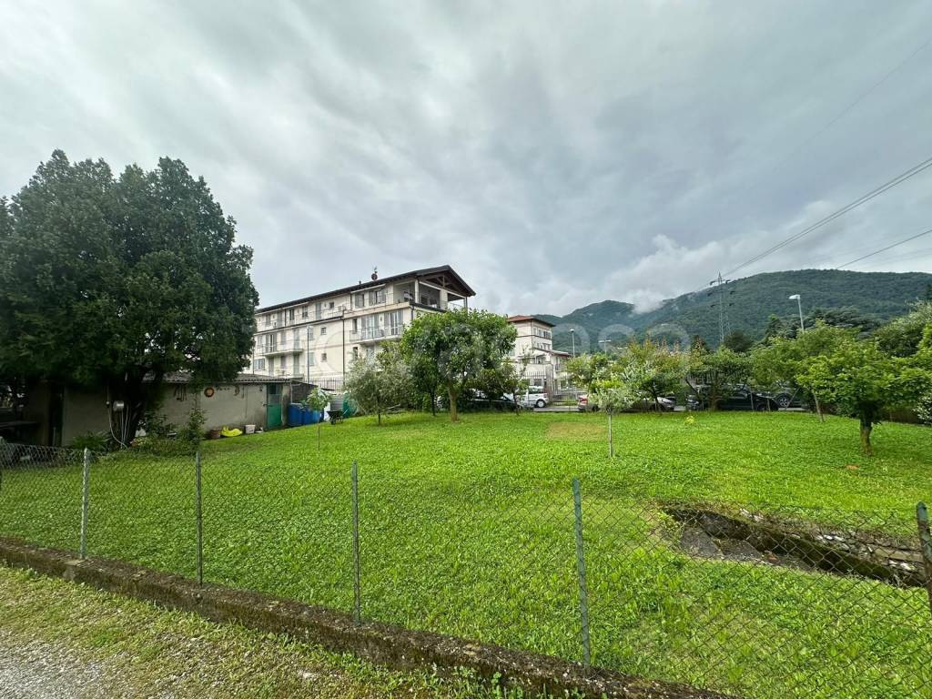 immagine annuncio 5 di 12