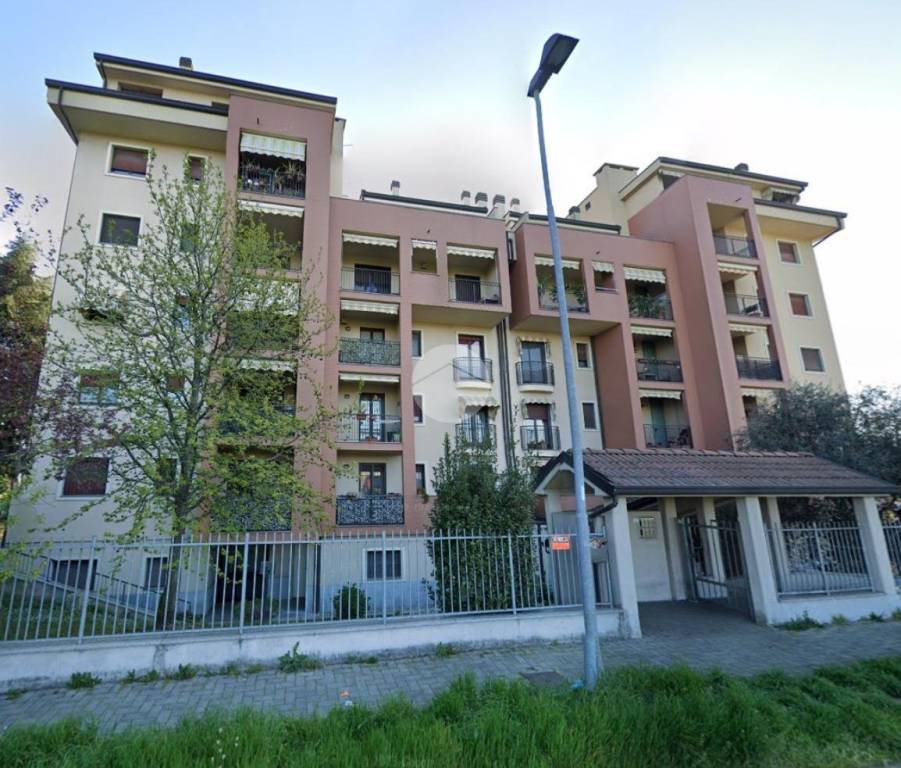 immagine annuncio 14 di 15