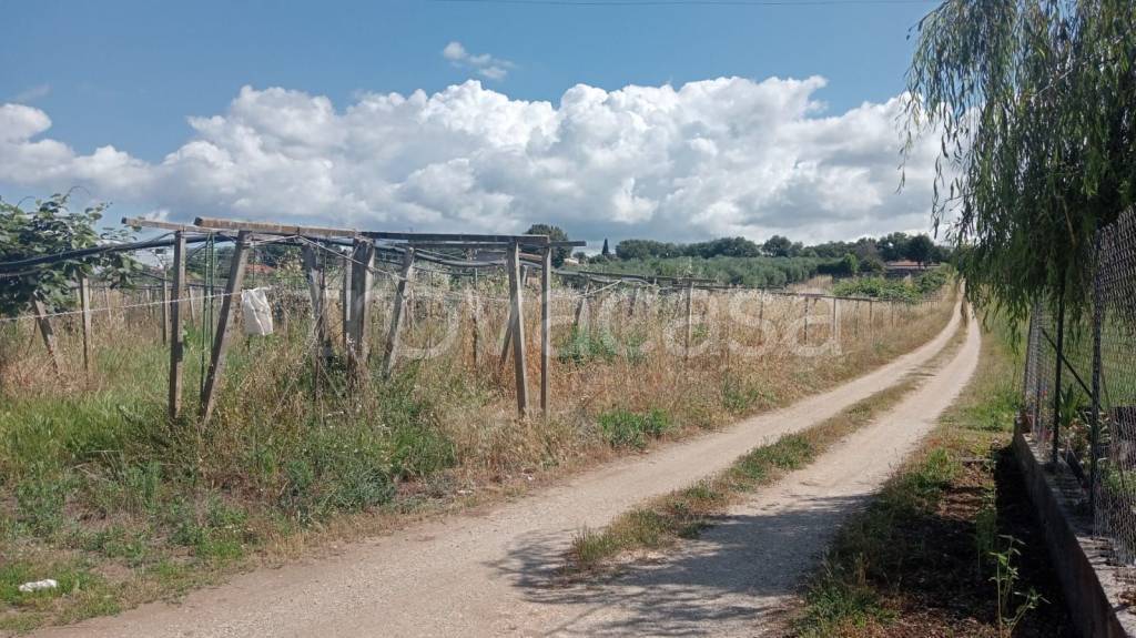 immagine annuncio 4 di 6