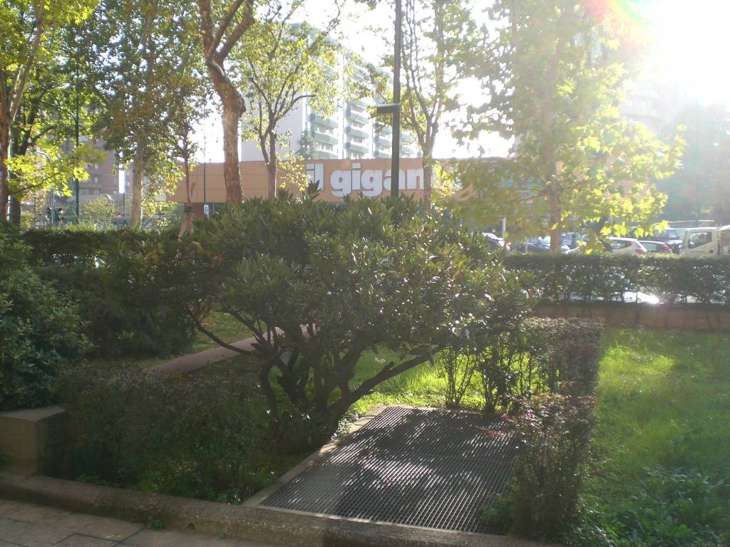 immagine annuncio 1 di 3