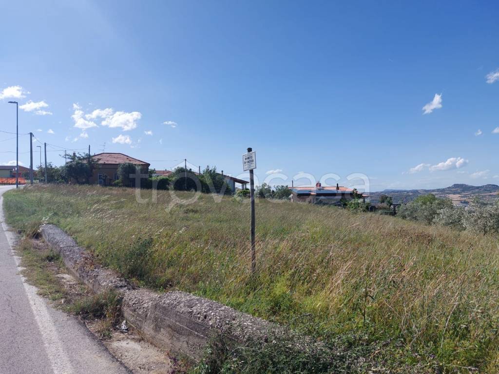 immagine annuncio 6 di 8