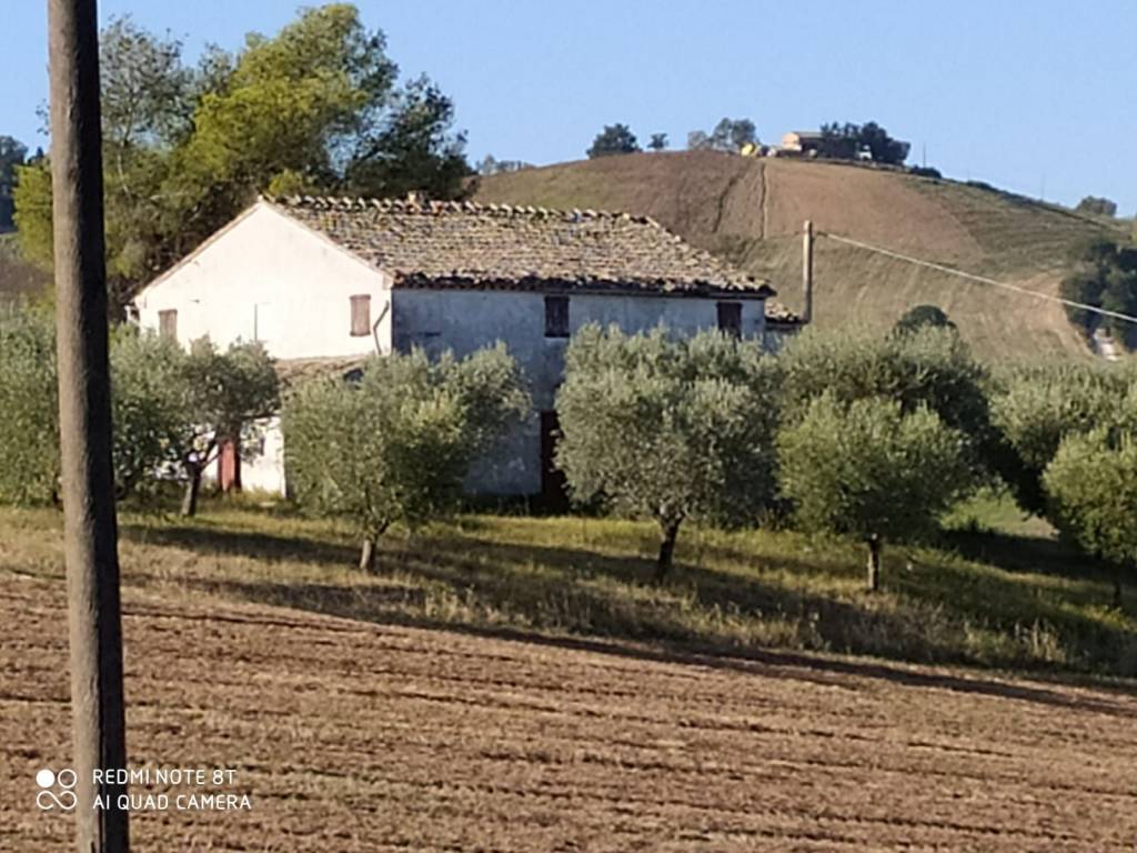 immagine annuncio 8 di 13