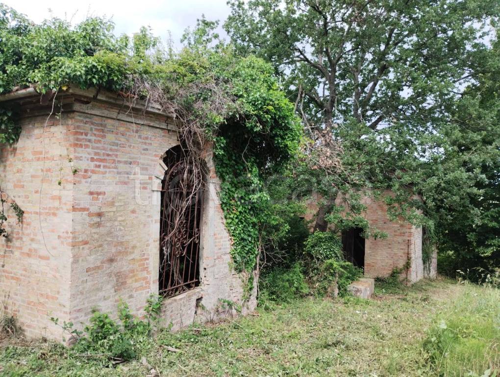 immagine annuncio 6 di 13