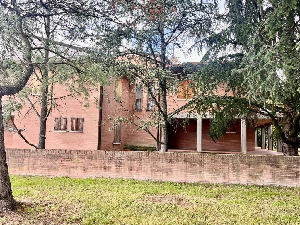 immagine annuncio 6 di 14