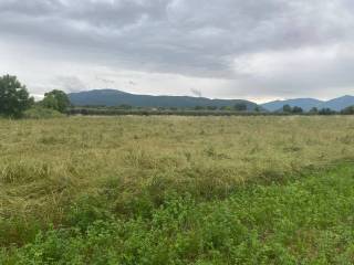 Terreno agricolo in vendita a pozzilli viadotto pozzilli