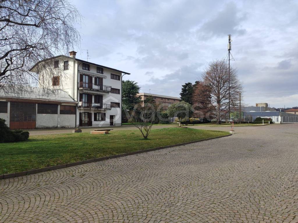immagine annuncio 9 di 12