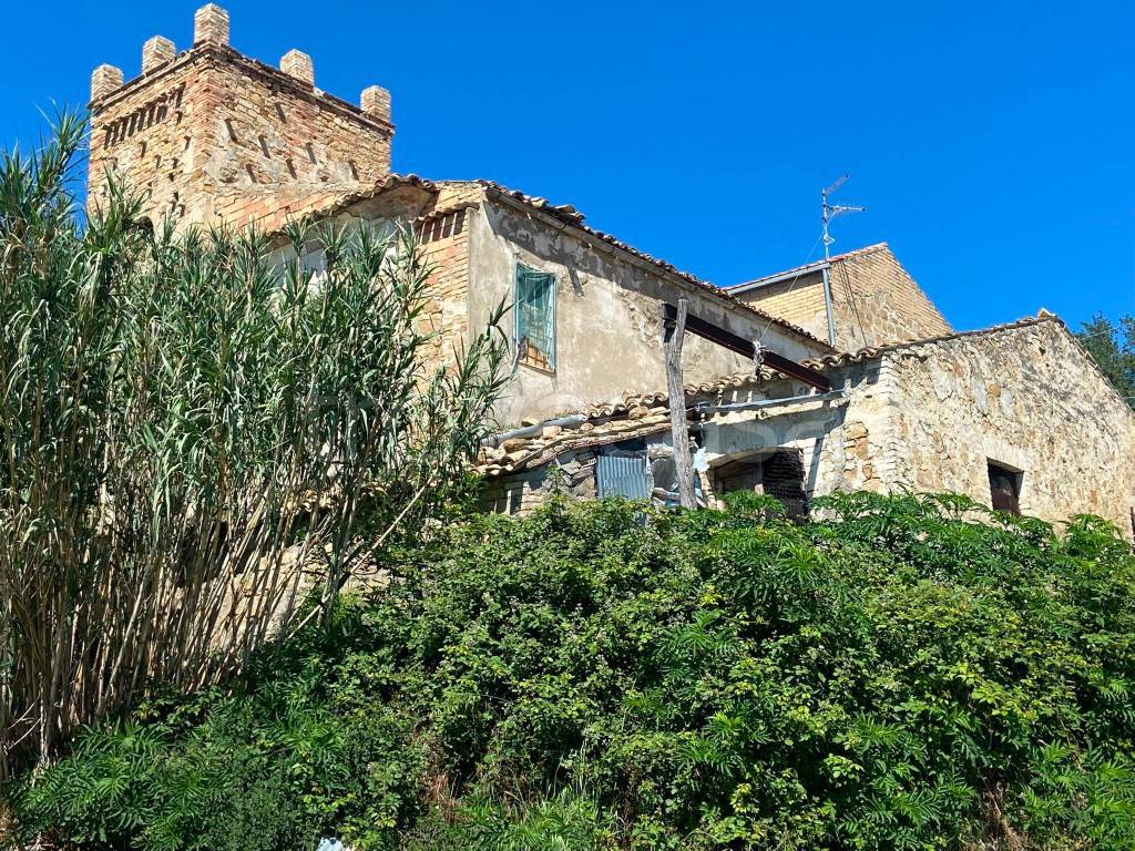 immagine annuncio 5 di 12