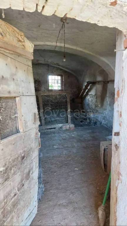 immagine annuncio 4 di 12