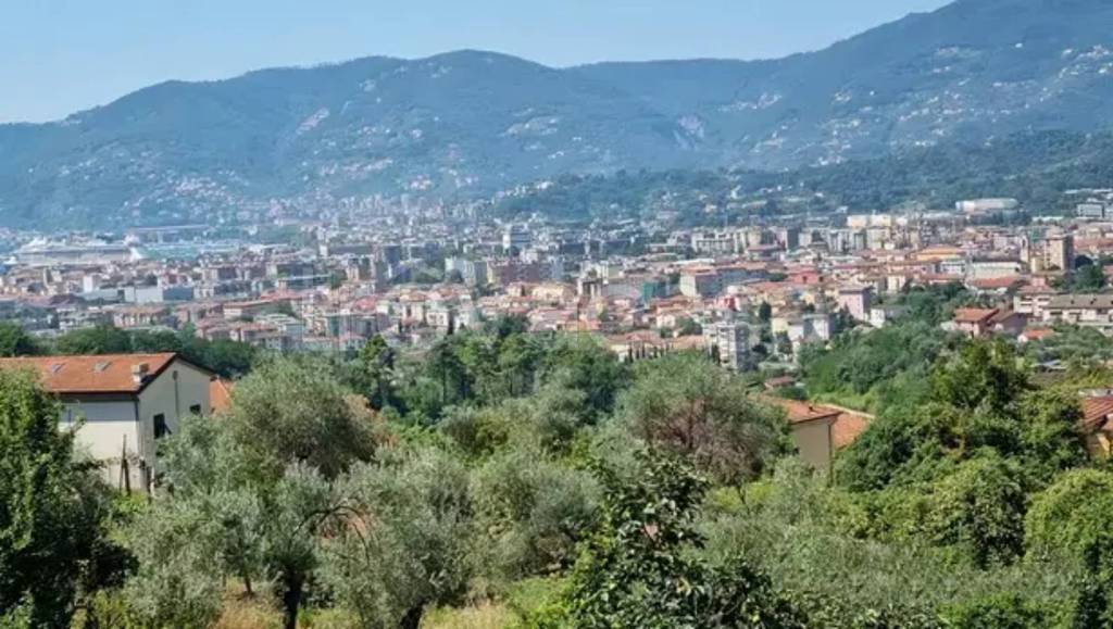 immagine annuncio 5 di 6