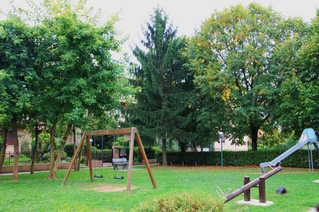 immagine annuncio 3 di 11