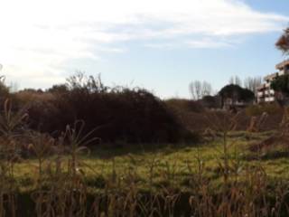 Terreno agricolo in vendita a viareggio via aurelia sud