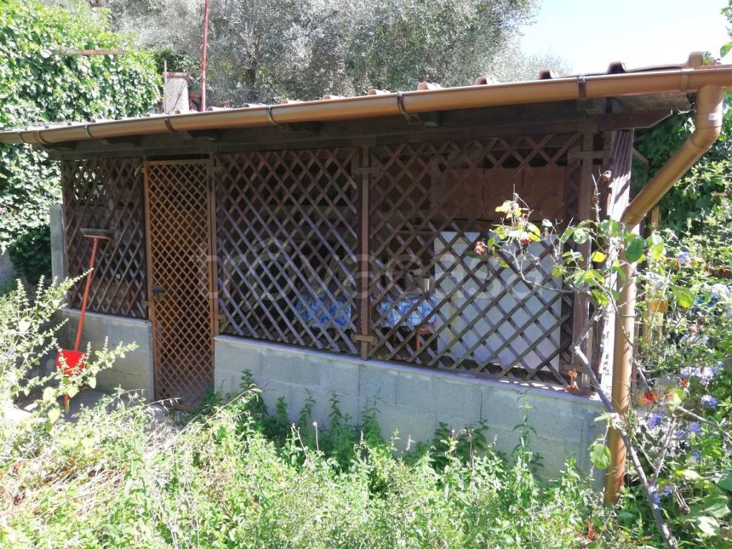 immagine annuncio 2 di 14