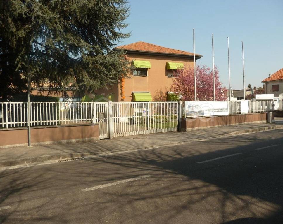 immagine annuncio 2 di 15