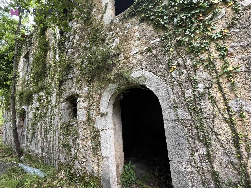 immagine annuncio 9 di 14