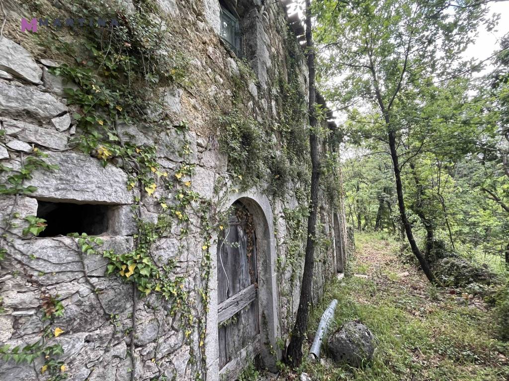 immagine annuncio 11 di 14