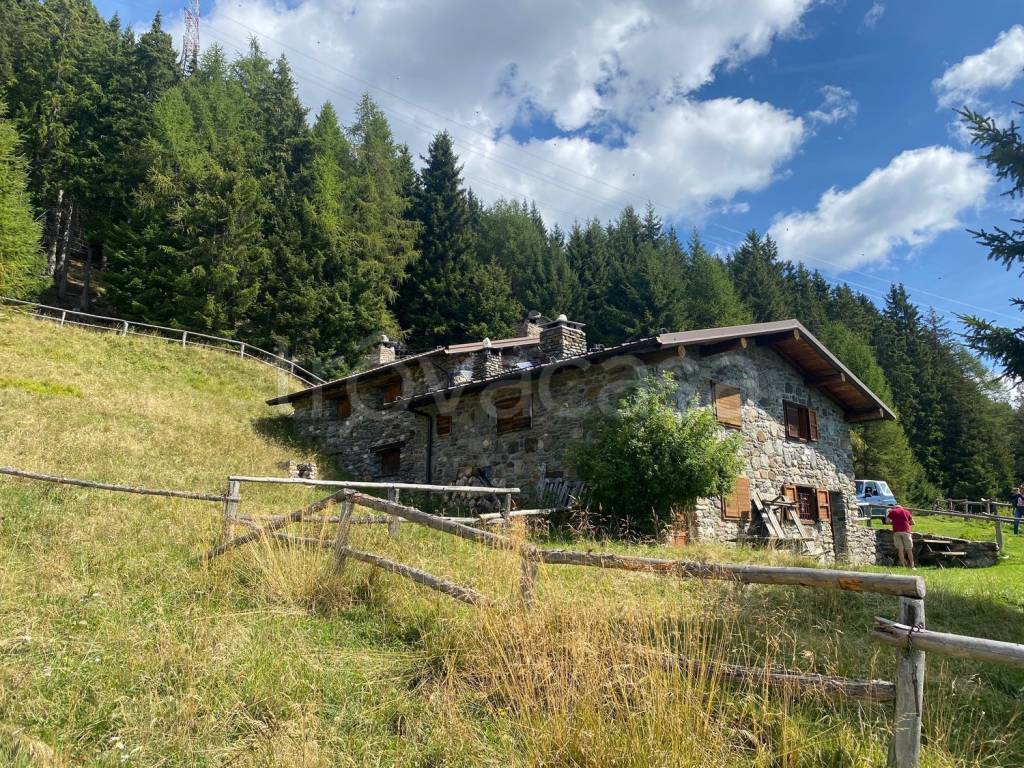 immagine annuncio 5 di 11