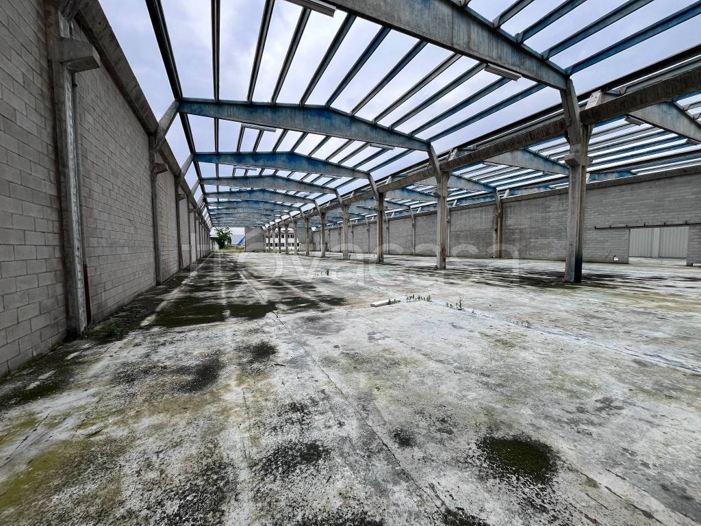 immagine annuncio 9 di 13