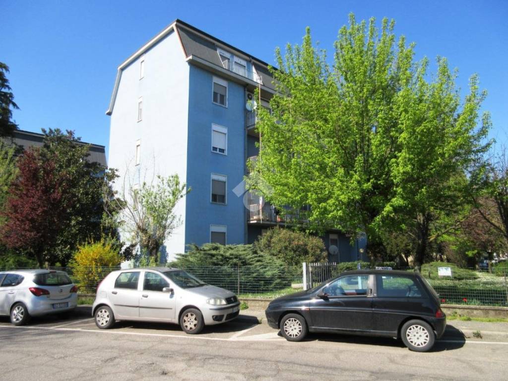 immagine annuncio 1 di 15