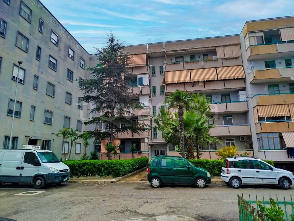immagine annuncio 10 di 11