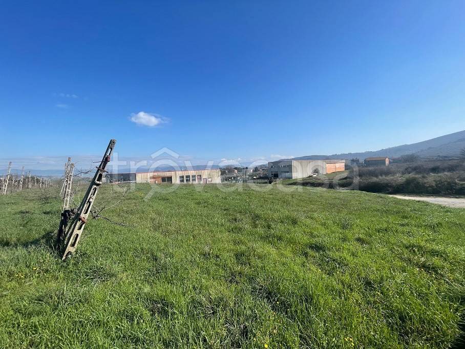 immagine annuncio 8 di 9