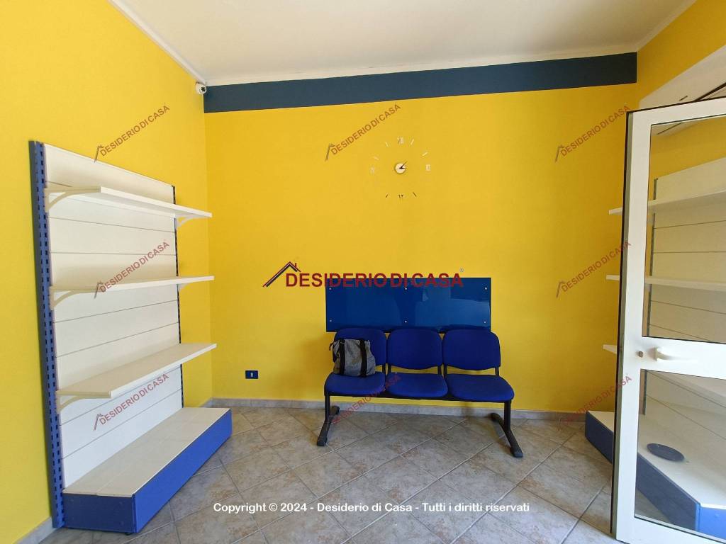 immagine annuncio 2 di 11