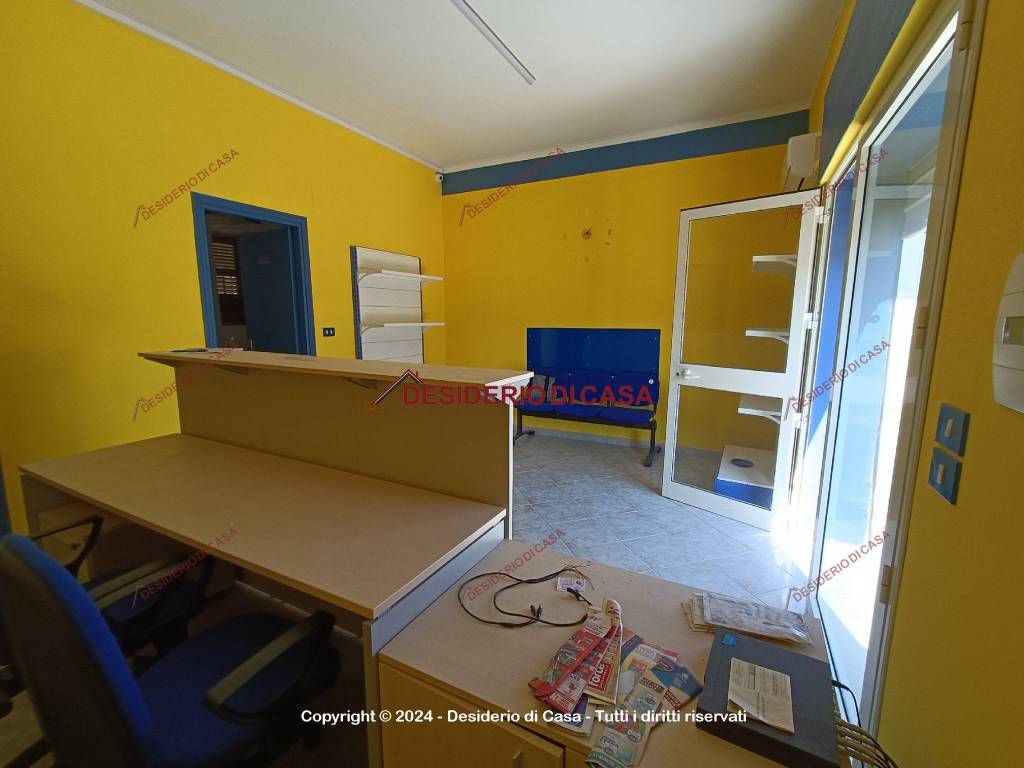 immagine annuncio 3 di 11